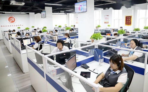 區(qū)政務服務管理局與醫(yī)保局聯(lián)動推進“未訴先辦” 信息咨詢服務提升群眾滿意度